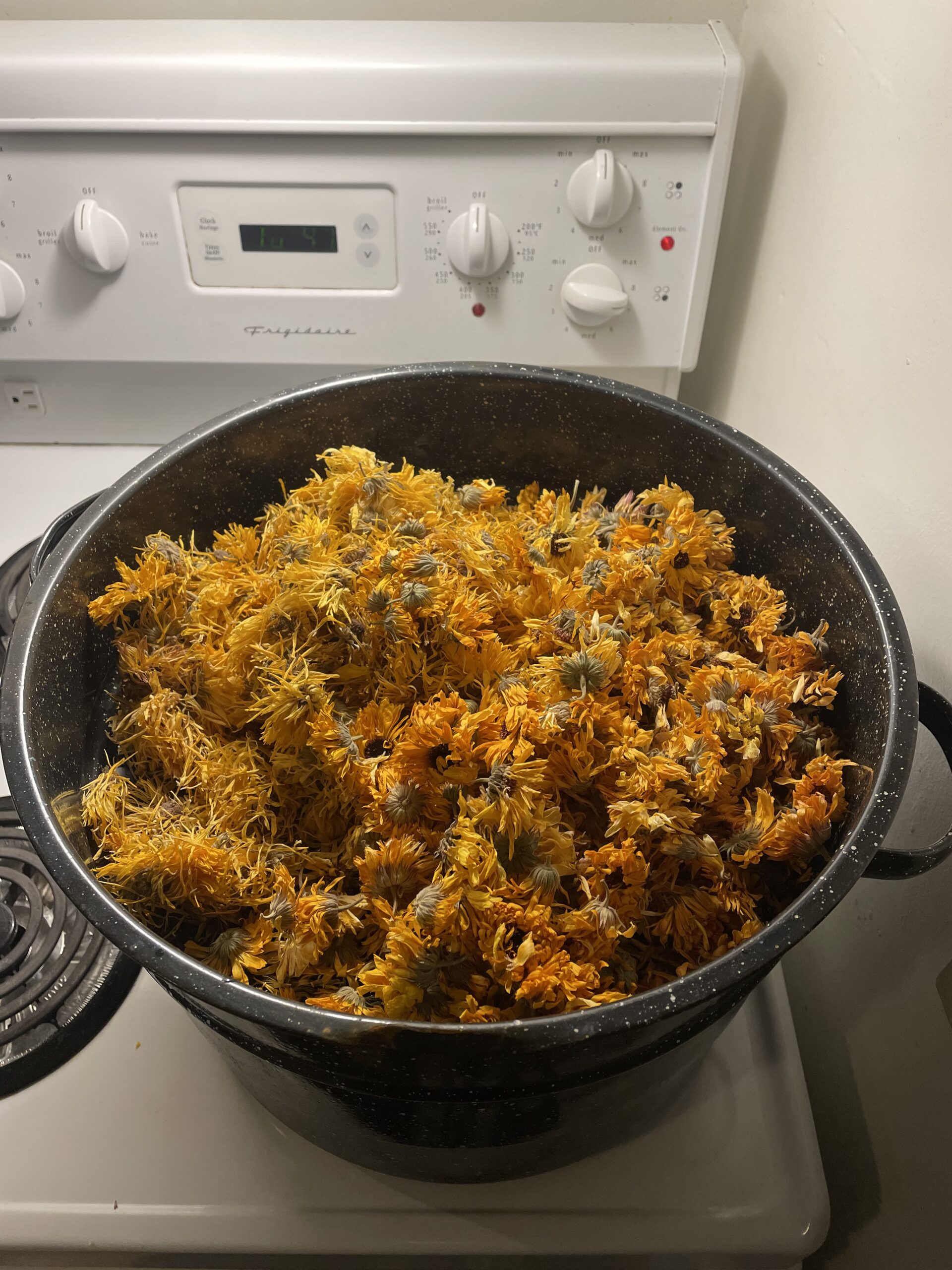 Open Inquiry 4: Dyeing