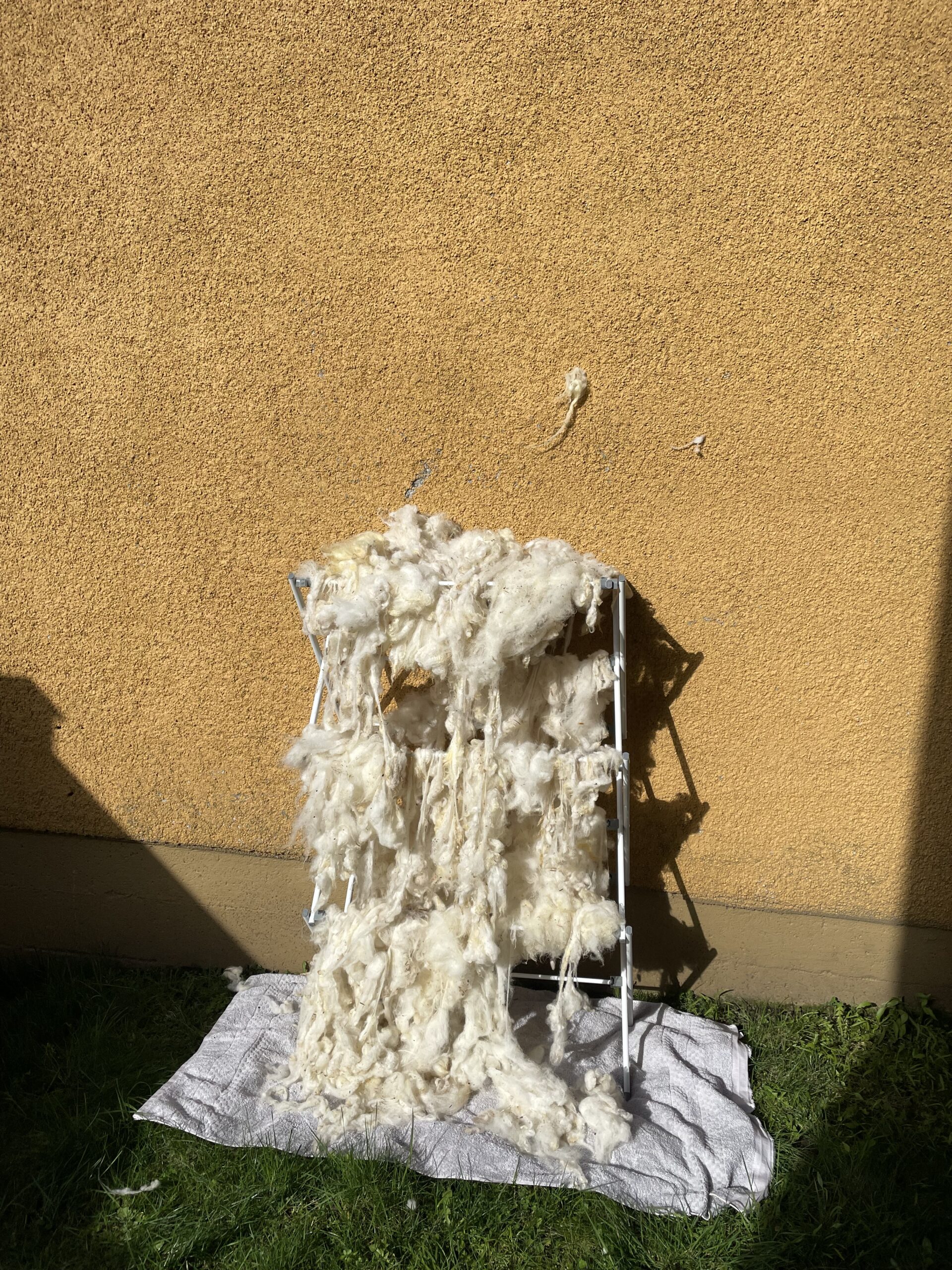 Open Inquiry 3: Washing