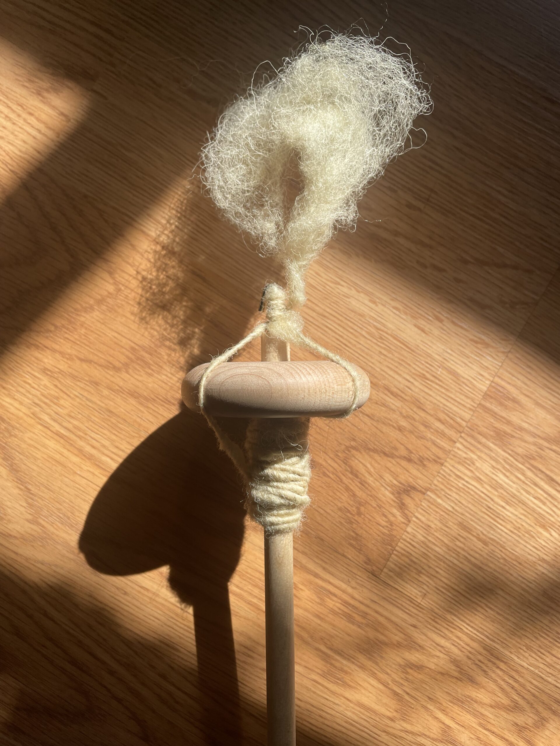 Open Inquiry 6: Drop Spinning